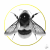 Elizabeth-Waggett-This-Is-The-Place-Bee-Print-Gold-Leaf-Manor-Gallery-Exeter-Topsham