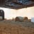 Elmgreen & Dragset: <i>Harvest</i>