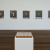 Adriana Varejão: <i>Polvo</i>