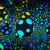 Yayoi Kusama: <i>THE MOVING MOMENT WHEN I WENT TO THE UNIVERSE</i>