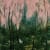 Daniel Ablitt