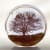 Helen Slater round glass art piece with a silhouette of a tree in sepia against a pale lilac background.