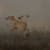Rory Carnegie fine art photography print of three whippets photoshopped into Port Meadow, Oxford to resemble and old masters painting