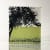Helen Slater glass sculpture with black drawing of a tree with fern green and clear glass