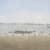 Richard Eurich