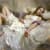 Mary Qian