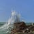 Challenging Neptune By Robert Ryan
