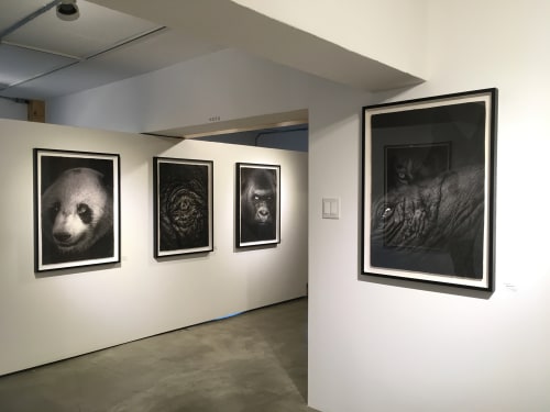 Eyes, Yasunori Matsui Solo Exhibition