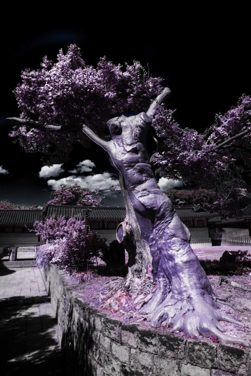 Another World, Wonjae Sou Solo Exhibition