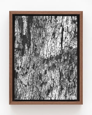 Haley Mellin, CT 15.4646°N, 90.7794°W, 2022