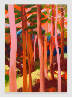 Nicole Wittenberg, Cat Spruce 2, 2023