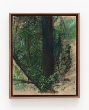 Haley Mellin, WK 15.4669°N, 90.7767°W, 2022