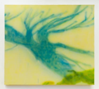 Yves Scherer, Spring, 2022