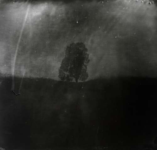 Sally Mann