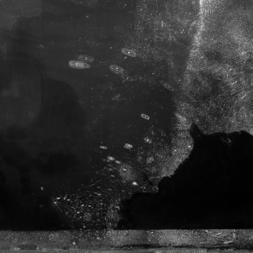 Chris Friel