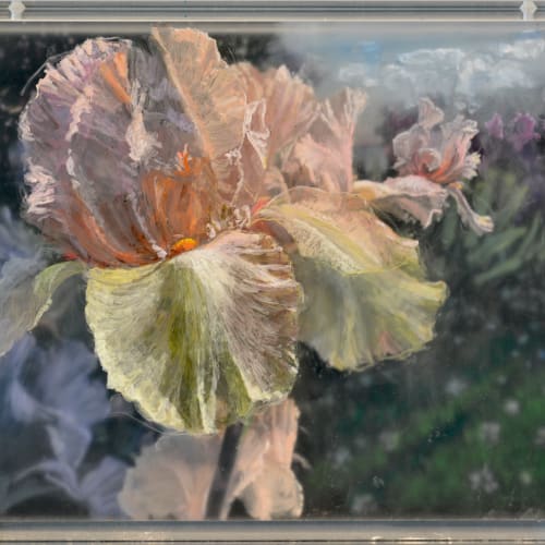 Martin Weinstein, Irises, 3 Years , 2020