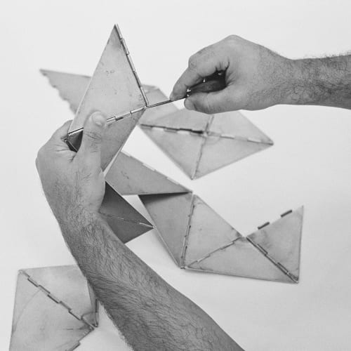 Kasper Akhøj, Untitled (Bicho)_06, 2024