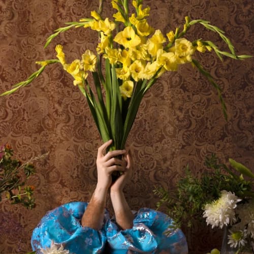Violeta Sofia, Yellow Gladiolus, 2024