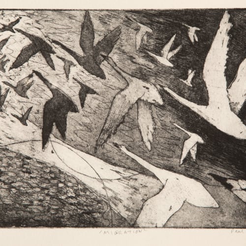 Paul Bloomer  Migration, 2019  etching  21cm x 15cm  Edition of 50