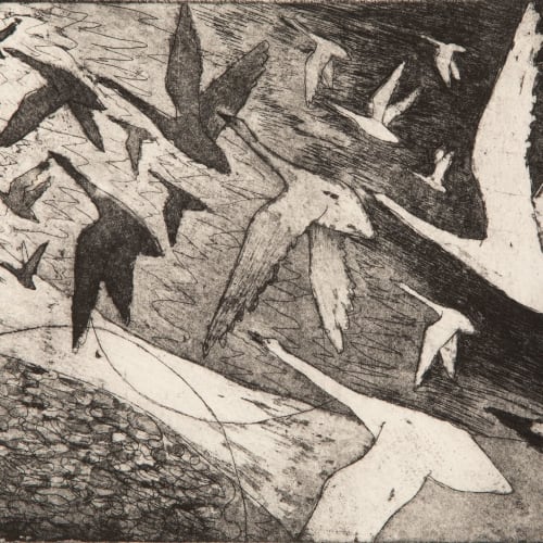 Paul Bloomer  Migration, 2019  etching  21cm x 15cm  Edition of 50