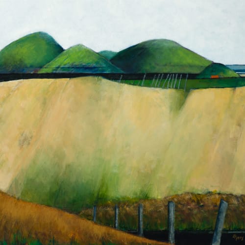 <span class="artist"><strong>Liz Knox</strong></span>, <span class="title"><em>Achnaidhean Buidhe Sutherland (yellow fields Sutherland)</em>, 2020</span>
