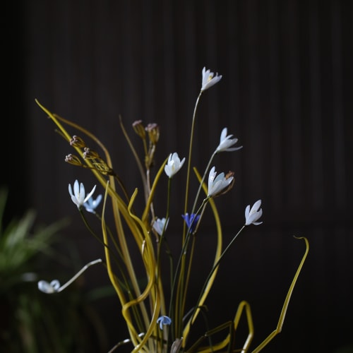 Anastasia Pribelskaya  Scilla, 2025  Murano and Bohemian glass, enamel  41 x 30 x 28 cm  16 ¼ x 11 ¾ x 11 in  Unique