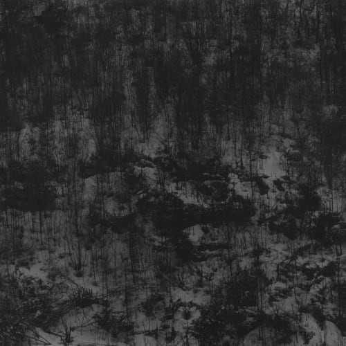 Joo Myung Duck, Mt. Odae, 1989