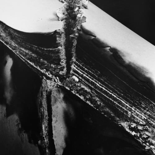 Hitoshi Fugo, KAMI 15, 2001