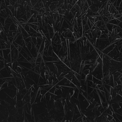 Joo Myung Duck, Ilsan, 1998
