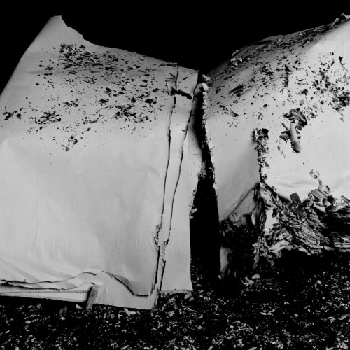 Hitoshi Fugo, KAMI 14, 2001