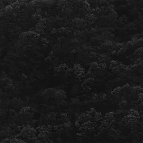 Joo Myung Duck, Mt. Jiri, 1989