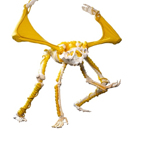 Kata Oelschlägel  Yellow gargoyle, 2023  object  1m2