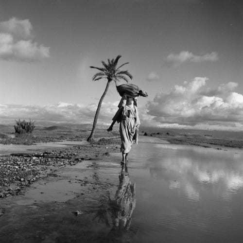 Dans la Palmeraie de Marrakech, 1939  Tirage argentique sur papier baryté  40x50 cm  Roger Schall  Edition of 15