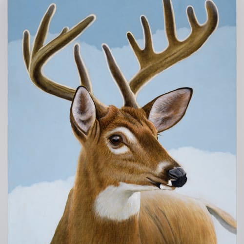 Sean Landers, Whitetail Deer, 2022