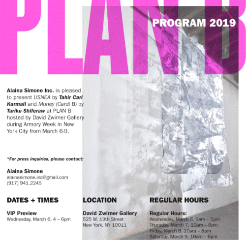 Tahir Carl Karmali and Tariku Shiferaw for Plan B, Volta at David Zwirner Gallery, NYC.