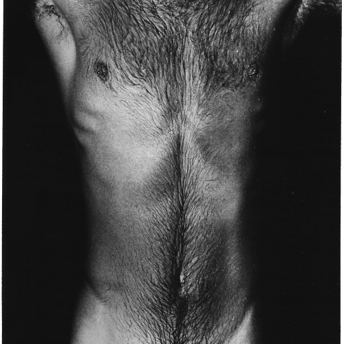 Alair Gomes, da série Symphony of Erotic Icons #02, 1966 - 1978