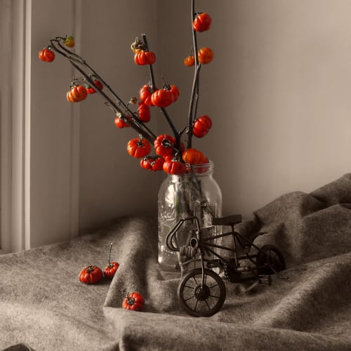Still Life 1, 2020 Archival pigment print 10 1/2 x 10 in 26.7 x 25.4 cm Edition of 10 plus 2 artist's proofs