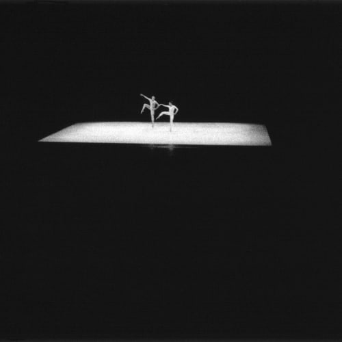 Alvin Ailey American Dance Theater, David Koch Theater, Lincoln Center, June 13, 2014 2014, printed 2022 Gelatin silver print with selenium tone Edition of 20 plus 1 artist's proof (WMS007)