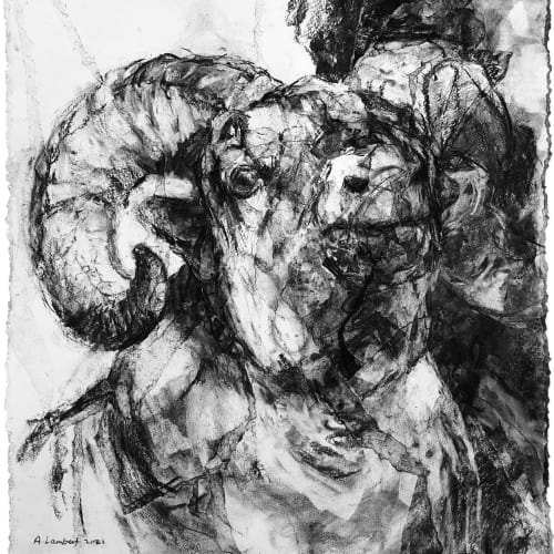 Alison Lambert, 'Ram's Head', charcoal and pastel on paper, 73 x 61 cm, 2021