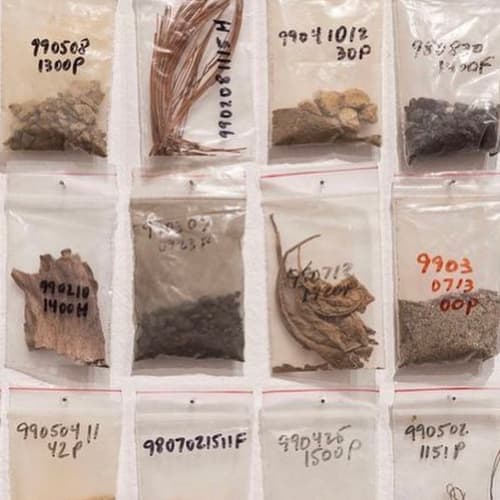 small bags of earth collected by the artist Nayda Collazo-Llorens