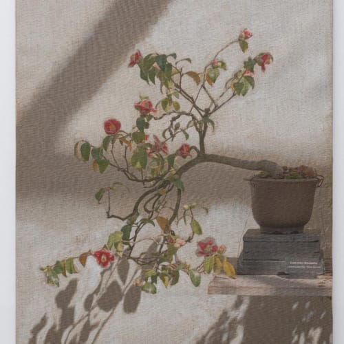 Benjamin Landford, Windswept Bonsai, 2021, Inkjet and acrylic on raw linen, 16 x 24 in. © Benjamin Landford, Courtesy of...