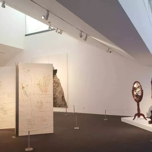 苏博现代艺术厅中展望作品《山水镜》和《不锈钢木家具》与施慧的《本草纲目·2》，图片来源：苏州博物馆