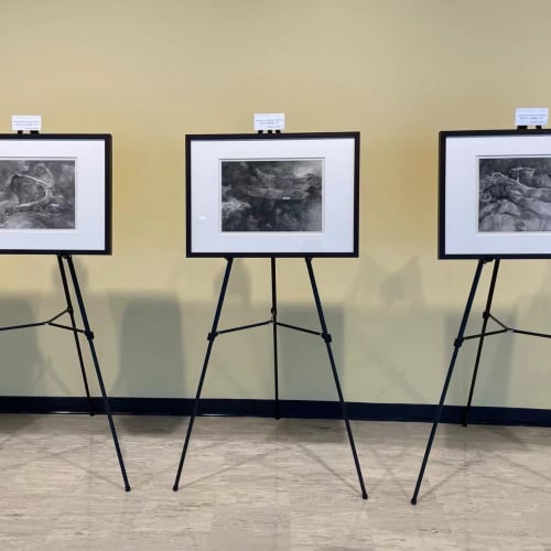three paintings by Tai Xiangzhou, exhibiting on tripod stands