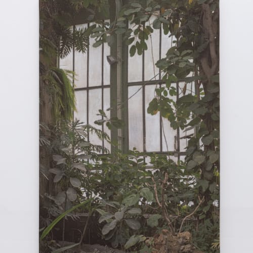 A window surrounded by greenery in the greenhouse