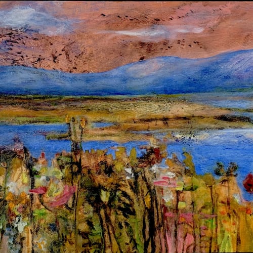 Leith Wetlands Ashokan