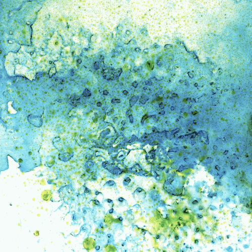 Corallium 16 © Virginia Bradley, 2022, 23" x 21" inches