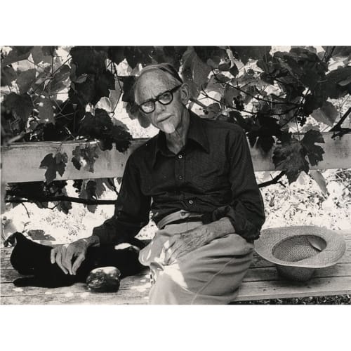 Robin Morrison