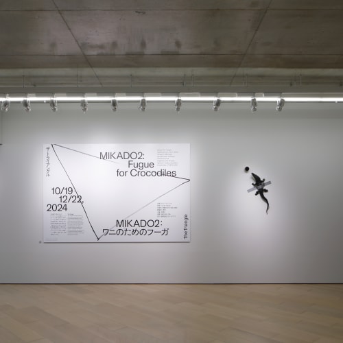「MIKADO2:ワニのためのフーガ」展示風景。写真：来田 猛, 画像提供：京都市京セラ美術館 Installation Views of 'MIKADO2: Fugue for Crocodiles'. Photo by Takeru Koroda, courtesy of Kyoto City KYOCERA Museum of Art
