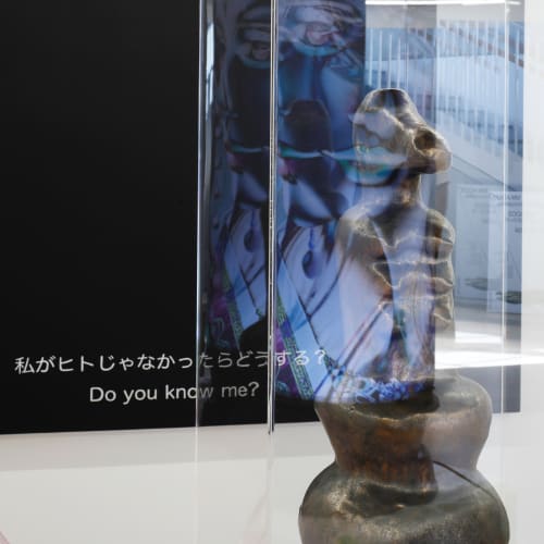 「MIKADO2:ワニのためのフーガ」展示風景、写真：来田 猛, 画像提供：京都市京セラ美術館 Installation Views of 'MIKADO2: Fugue for Crocodiles'. Photo by Takeru Koroda, courtesy of Kyoto City KYOCERA Museum of Art