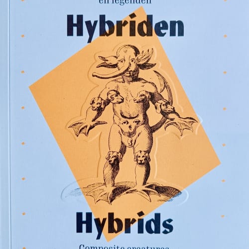 A publication accompanies the exhibition, published by Hopper & Fuchs, with essays by art historian Leen Huet and former conservator Frank Herreman of the Etnographic Museum of Antwerp.
